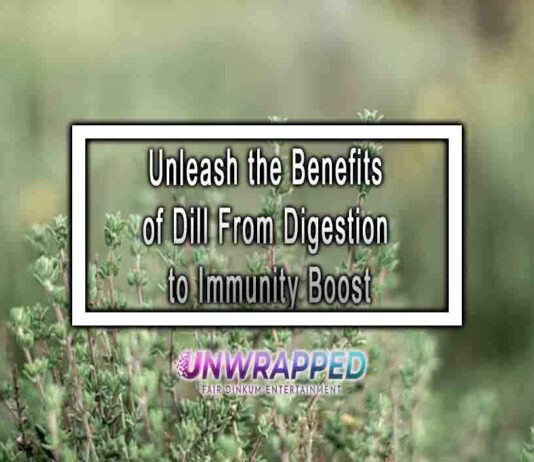 Unleash the Benefits of Dill From Digestion to Immunity Boost