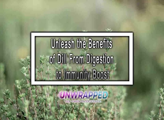 Unleash the Benefits of Dill From Digestion to Immunity Boost