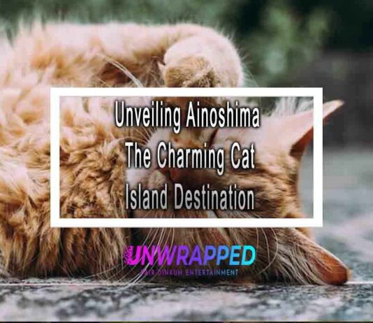 Unveiling Ainoshima The Charming Cat Island Destination