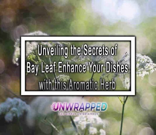 Unveiling the Secrets of Bay Leaf Enhance Your Dishes with this Aromatic Herb
