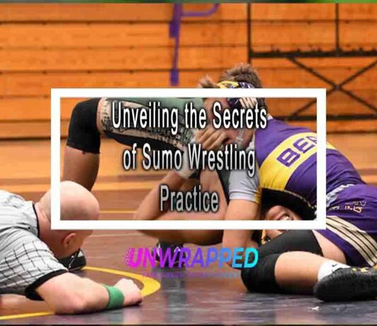 Unveiling the Secrets of Sumo Wrestling Practice