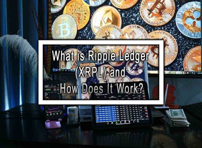 What is Ripple Ledger (XRPL) and How Does It Work?