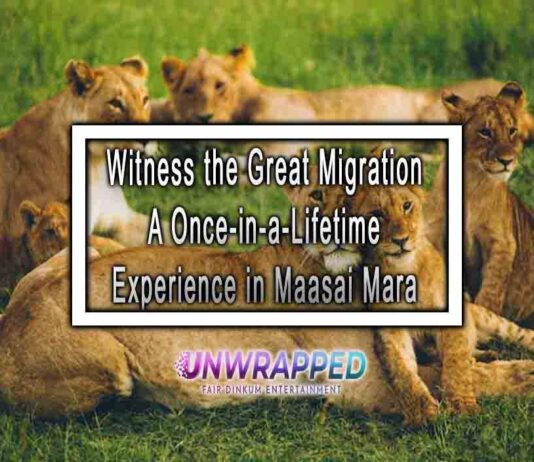 Witness the Great Migration: A Once-in-a-Lifetime Experience in Maasai Mara