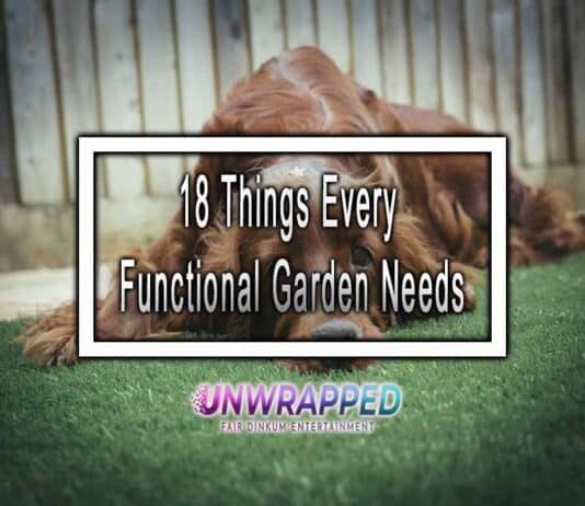 18 Things Every Functional Garden Needs