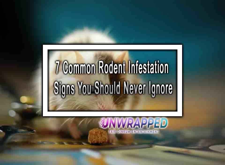 7 Common Rodent Infestation Signs You Should Never Ignore