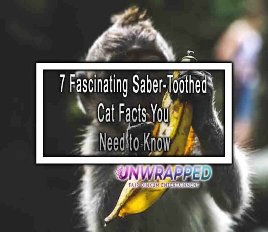 7 Fascinating Saber-Toothed Cat Facts You Need to Know