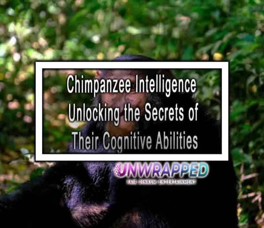 Chimpanzee Intelligence Unlocking the Secrets of Their Cognitive Abilities