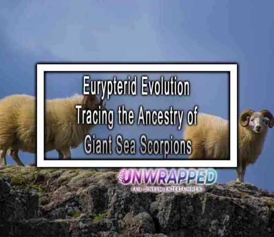 Eurypterid Evolution Tracing the Ancestry of Giant Sea Scorpions