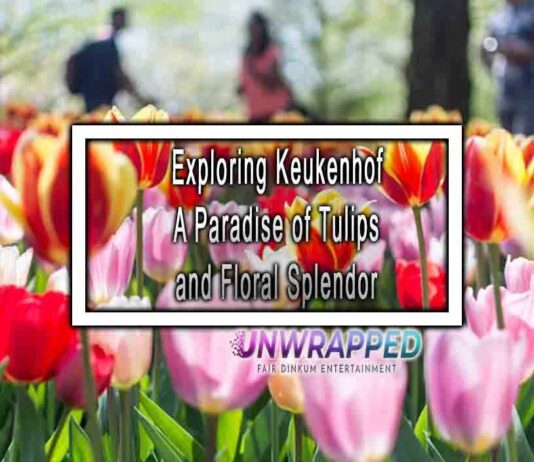 Exploring Keukenhof A Paradise of Tulips and Floral Splendor