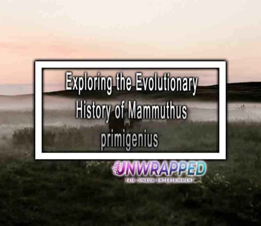 Exploring the Evolutionary History of Mammuthus primigenius