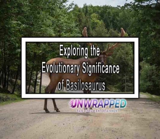 Exploring the Evolutionary Significance of Basilosaurus