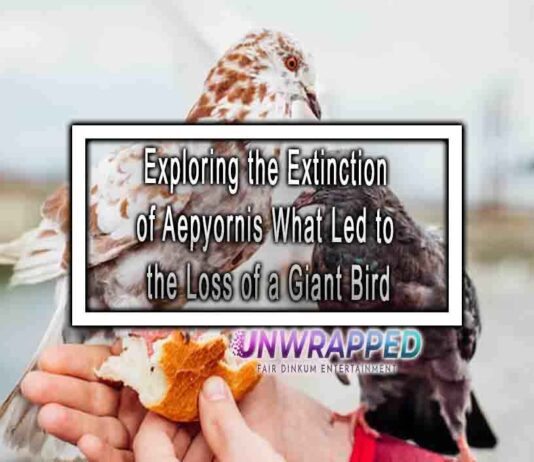 Exploring the Extinction of Aepyornis What Led to the Loss of a Giant Bird