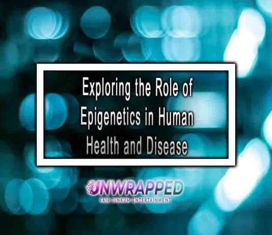 Exploring the Role of Epigenetics in Human Health and Disease