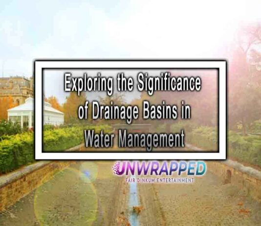 Exploring the Significance of Drainage Basins in Water Management
