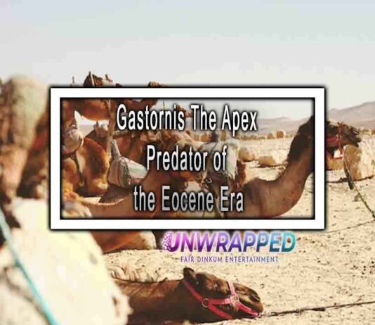 Gastornis The Apex Predator of the Eocene Era
