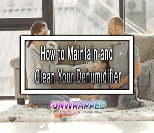 How to Maintain and Clean Your Dehumidifier How to Maintain and Clean Your Dehumidifier