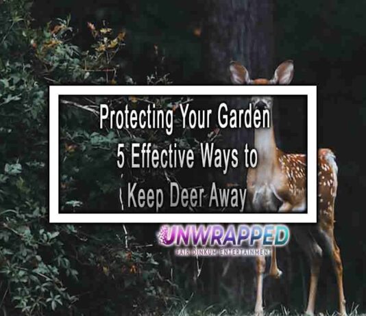 Protecting Your Garden 5 Effective Ways to Keep Deer Away
