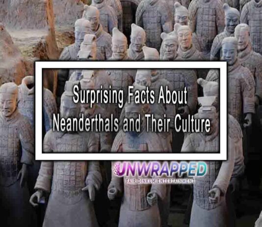 Surprising Facts About Neanderthals and Their Culture