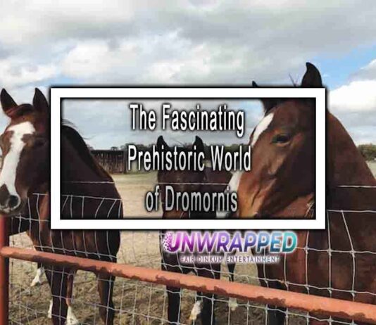 The Fascinating Prehistoric World of Dromornis