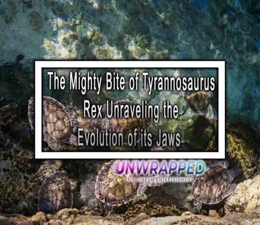 The Mighty Bite of Tyrannosaurus Rex Unraveling the Evolution of its Jaws