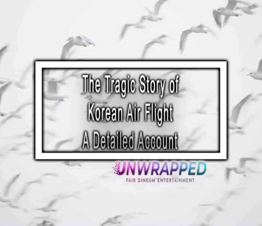The Tragic Story of Korean Air Flight A Detailed Account