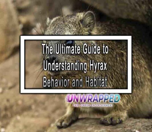 The Ultimate Guide to Understanding Hyrax Behavior and Habitat