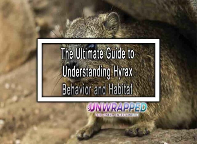 Hyrax Rage The Ultimate Guide to Understanding Hyrax Behavior and Habitat