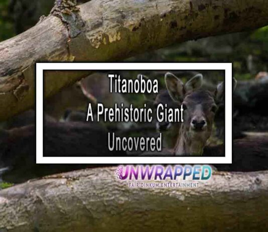Titanoboa A Prehistoric Giant Uncovered