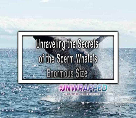 Unraveling the Secrets of the Sperm Whale’s Enormous Size