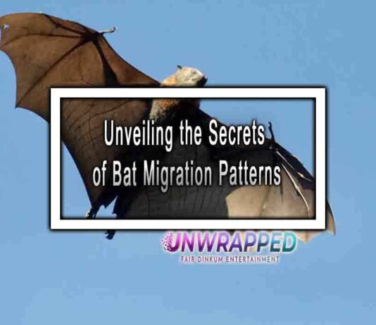 Unveiling the Secrets of Bat Migration Patterns