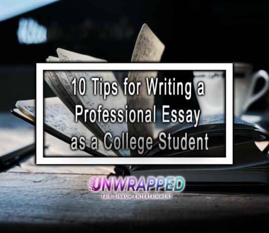 10 Tips for Writing a Professional Essay as a College Student