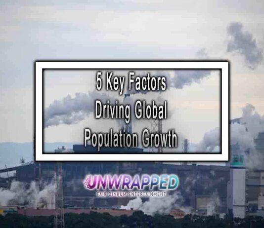5 Key Factors Driving Global Population Growth