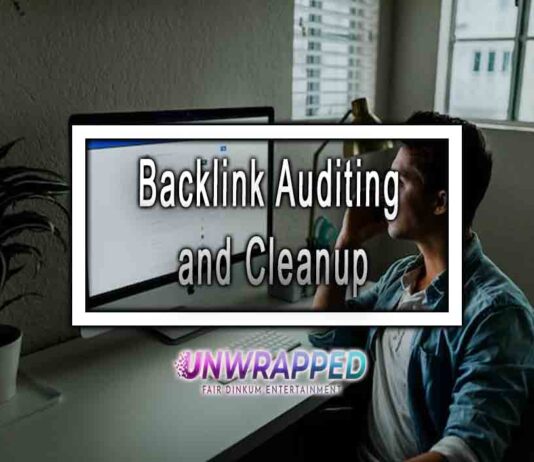 Backlink Auditing and Cleanup