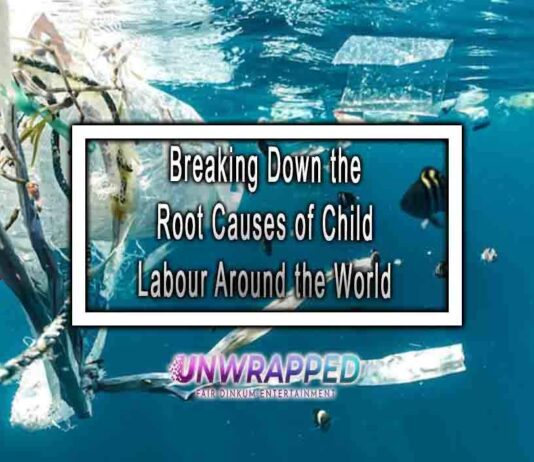 Breaking Down the Root Causes of Child Labour Around the World
