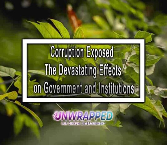 Corruption Exposed The Devastating Effects on Government and Institutions