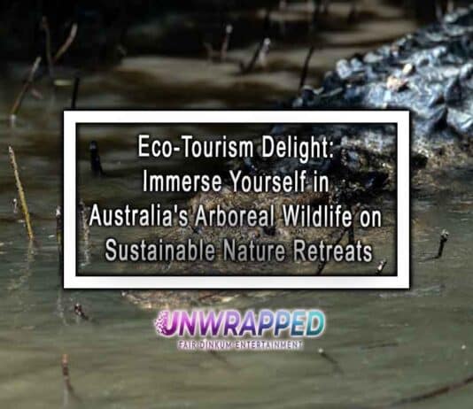 Eco-Tourism Delight: Immerse Yourself in Australia's Arboreal Wildlife on Sustainable Nature Retreats