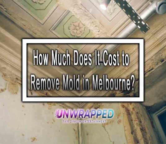 How Much Does It Cost to Remove Mold in Melbourne? How Much Does It Cost to Remove Mold in Melbourne?