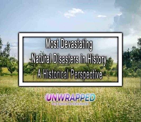 Most Devastating Natural Disasters in History A Historical Perspective