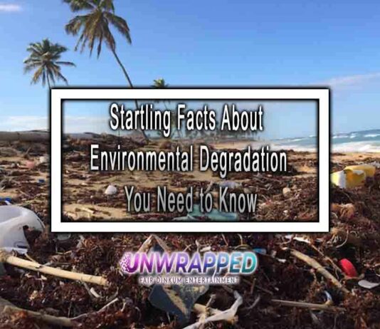 Startling Facts About Environmental Degradation You Need to Know