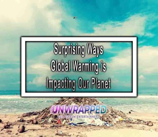 Surprising Ways Global Warming is Impacting Our Planet