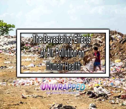 The Devastating Effects of Air Pollution on Human Health