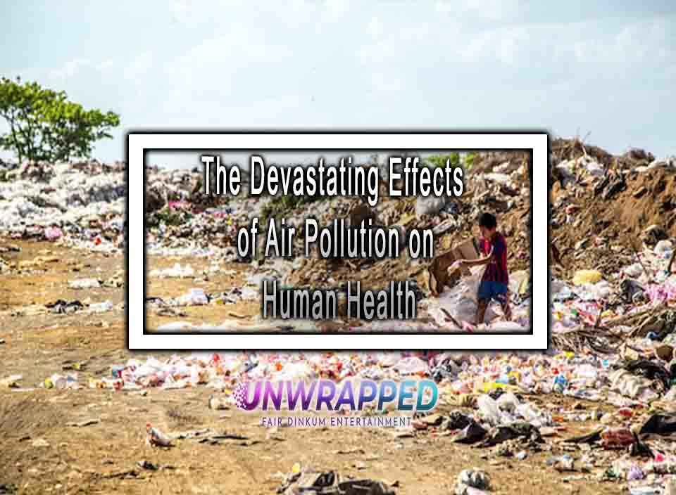 The Devastating Effects of Air Pollution on Human Health