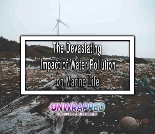 The Devastating Impact of Water Pollution on Marine Life