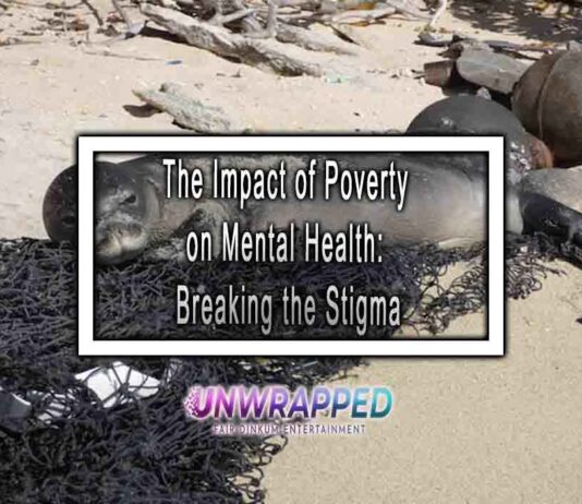 The Impact of Poverty on Mental Health Breaking the Stigma