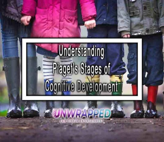 Understanding Piaget’s Stages of Cognitive Development