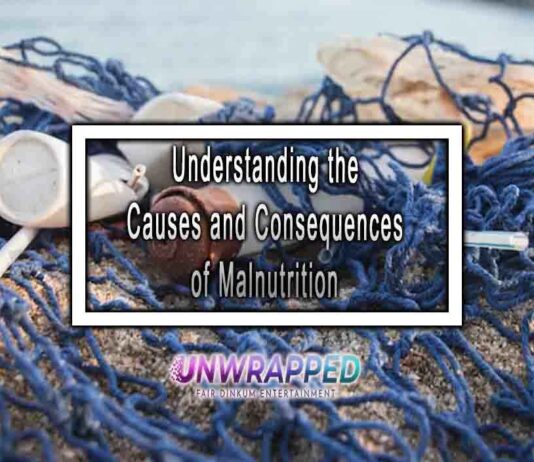 Understanding the Causes and Consequences of Malnutrition