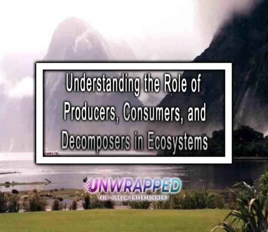 Understanding the Role of Producers, Consumers, and Decomposers in Ecosystems