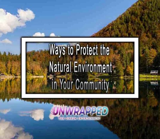 Ways to Protect the Natural Environment in Your Community