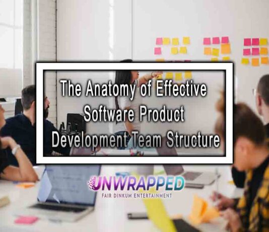 The Anatomy of Effective Software Product Development Team Structure