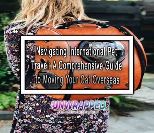 Navigating International Pet Travel: A Comprehensive Guide to Moving Your Cat Overseas
